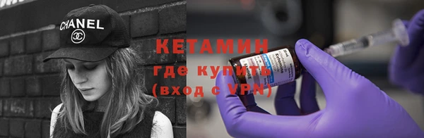 сатива Армянск