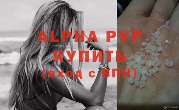 сатива Армянск
