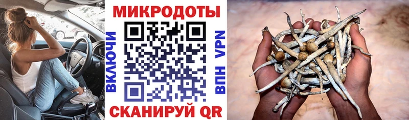 Псилоцибиновые грибы Cubensis  Ленинск 